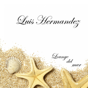 Mi Amor by Luis Hermandez