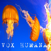 Vox Humana