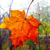 Маленький океан Любви _ Small ocean of Love