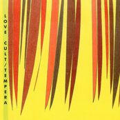 Love Cult / Tempera Split