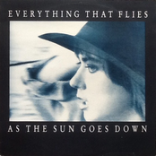 As The Sun Goes Down