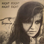 Night Flight, Night Sight