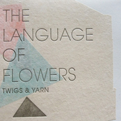 The Language Of Flowers