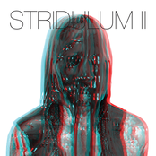 Zola Jesus: Stridulum II