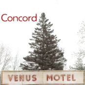 Venus Motel