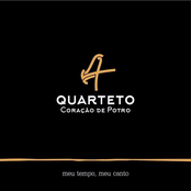 meu tempo, meu canto