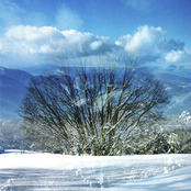 星霜/こきりこ節