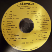 The Occupation of A Sand Dune