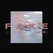 Fake