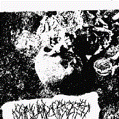 Carved Cross / Cave Ritual split