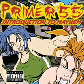 Primer 55: Introduction To Mayhem