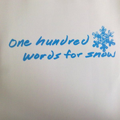 One Hundred Words for Snow
