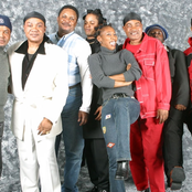 soukous stars