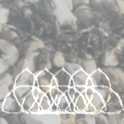 with each step forward i sink further