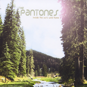 Inside The Sun's Wild Flame