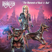 The Bastards Of Rock'n'Roll