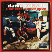 Damu Ridas II: How Deep Is Your Hood