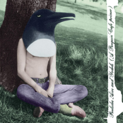 The Penguin Cafe Orchestra: Preludes, Airs And Yodels (A Penguin Cafe Primer)