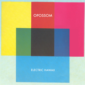 Electric Hawaii (Deluxe Version)