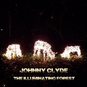 The Illuminating Forest