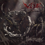 Path To Incineration by Vile