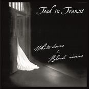 White Doves & Blood Rivers