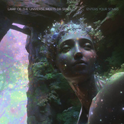 Lamp of the Universe Meets Dr Space