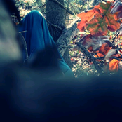 The Woods Are Spooky