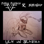 Licht und Schatten (Split mit Black Sheep)