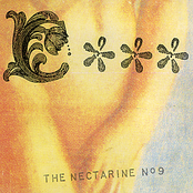 Peanut Brain by The Nectarine No. 9