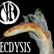 Ecdysis