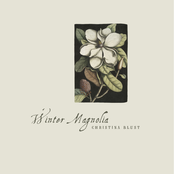 Winter Magnolia by Christina Blust