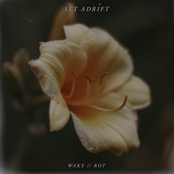 Wake // Rot