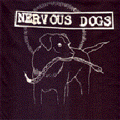 nervous dogs