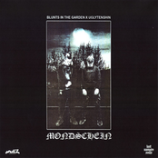 Mondschein