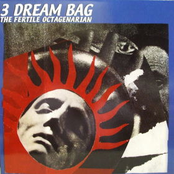 3 dream bag