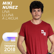 Una Lluna A L'Aigua (Operación Triunfo 2018)
