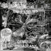 Artificial Simulacrums 2011