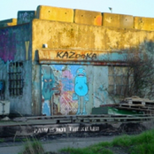 Pain is not the killer