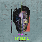 ANTILIFE (feat. Amir Derakh) [Single]