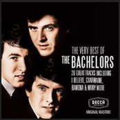 I Wouldn't Trade You For The World by The Bachelors