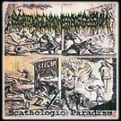 Pathophysiological Formation by Scatologic Madness Possession