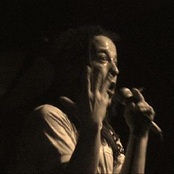 Ward 81 (Fuzztones Cover)