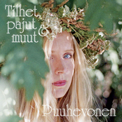 Puuhevonen