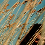 Holcombe Waller: Extravagant Gesture