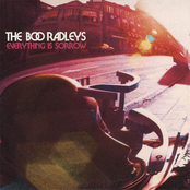 Last Night I Dreamt Of God by The Boo Radleys