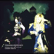 Anamorphosis