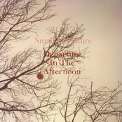 Departure In The Afternoon