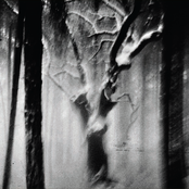 Paysages Sans Âge III