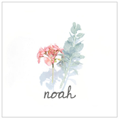 Noah